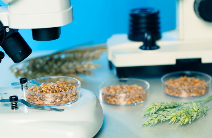 food-diagnostic-equipment-and-consumables